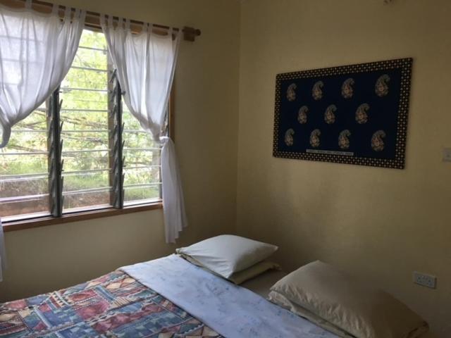 Milemeleni Guesthouse Lushoto エクステリア 写真